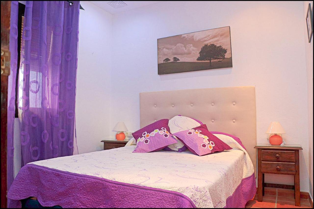 Acogedor Con Piscina Chalet Conil De La Frontera